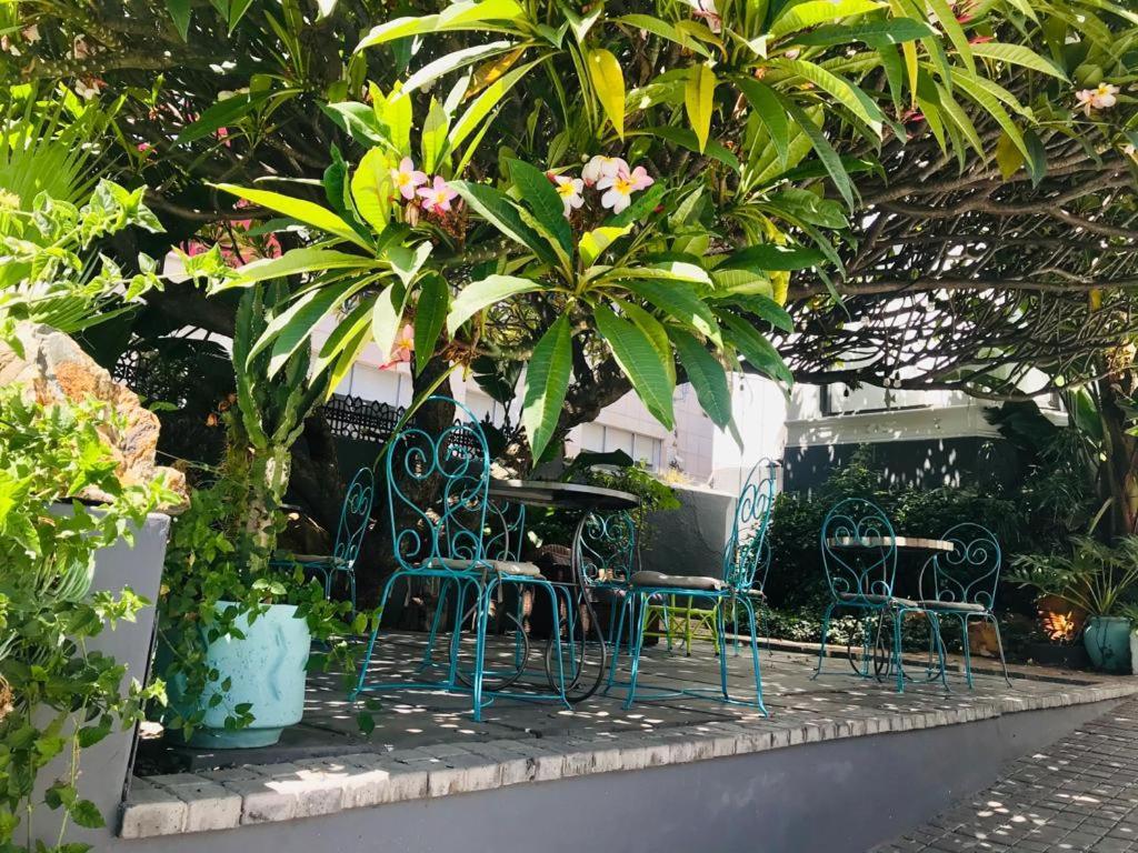 Moy Guesthouse & Backpackers Cape Town Exterior foto